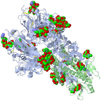 Image Biological Unit 1