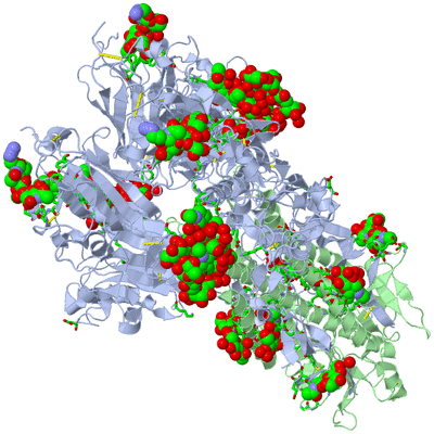 Image Biol. Unit 1 - sites