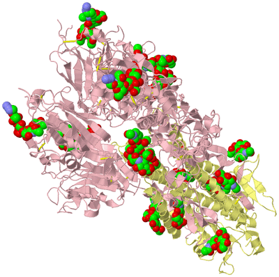 Image Biological Unit 2