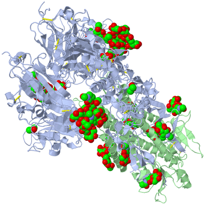 Image Biological Unit 1