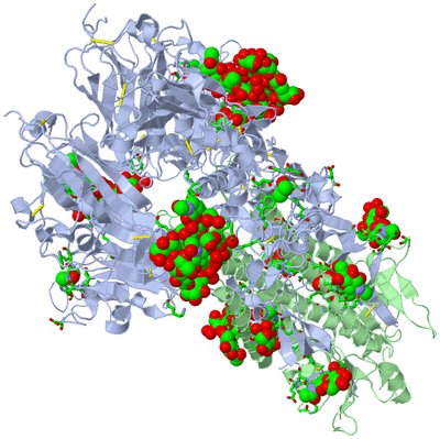 Image Biol. Unit 1 - sites