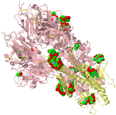 Image Biological Unit 2