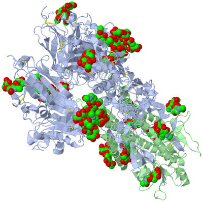 Image Biological Unit 1