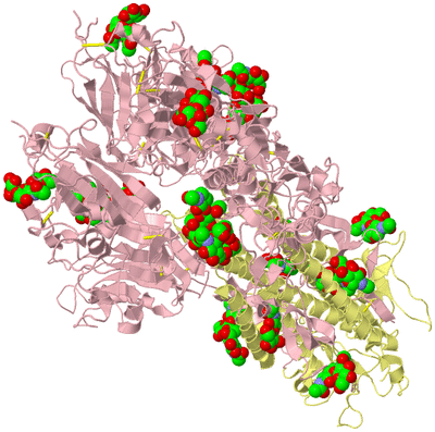 Image Biological Unit 2