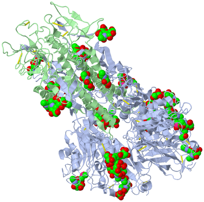 Image Biological Unit 1