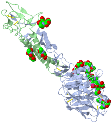 Image Biological Unit 2