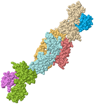 Image Biological Unit 1