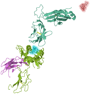 Image Biological Unit 2