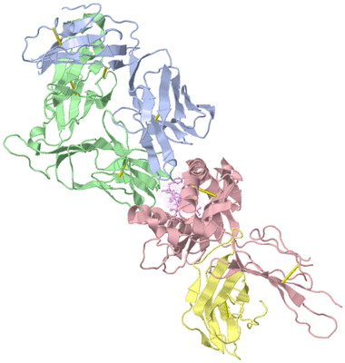 Image Biological Unit 3