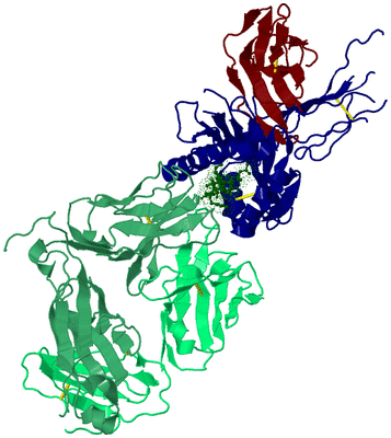 Image Biological Unit 4