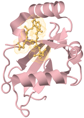 Image Biological Unit 3