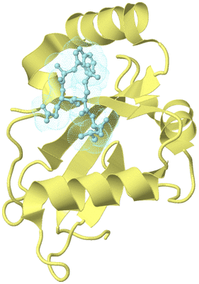 Image Biological Unit 4