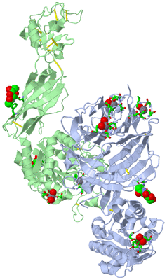 Image Biol. Unit 1 - sites