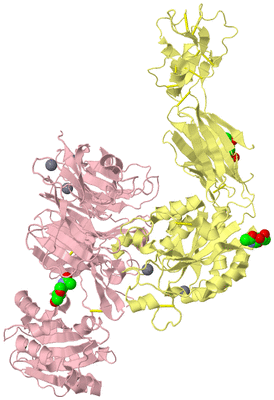 Image Biological Unit 2