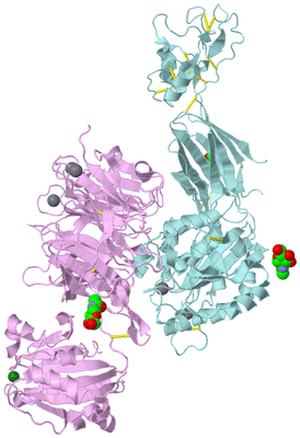 Image Biological Unit 3