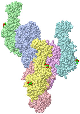 Image Biological Unit 4