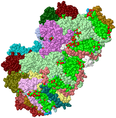 Image Asym./Biol. Unit - sites