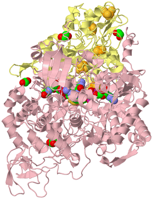 Image Biological Unit 2