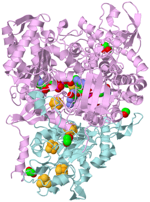 Image Biological Unit 3