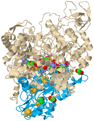 Image Biological Unit 5