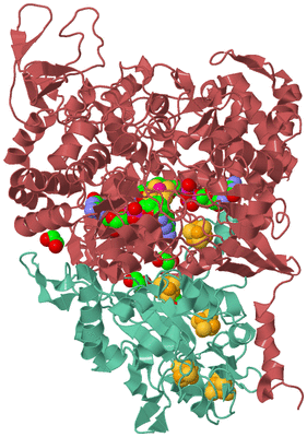 Image Biological Unit 6