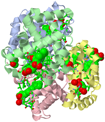 Image Asym./Biol. Unit - sites