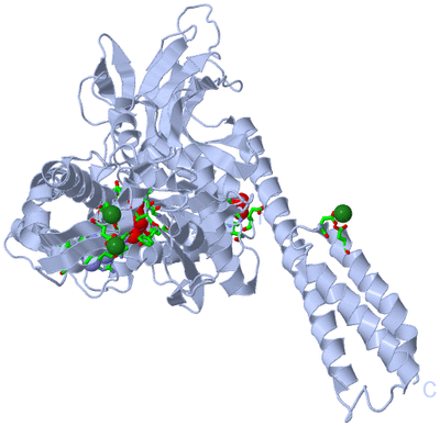 Image Biol. Unit 1 - sites