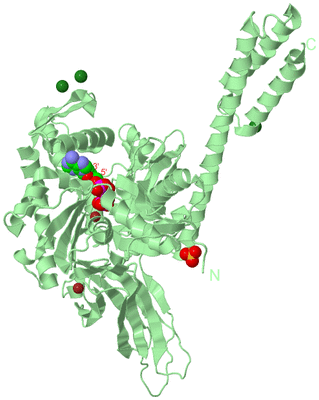 Image Biological Unit 2