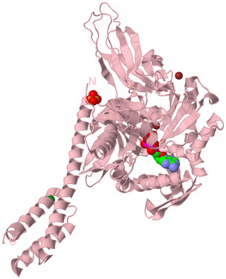 Image Biological Unit 3