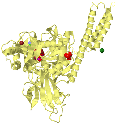 Image Biological Unit 4