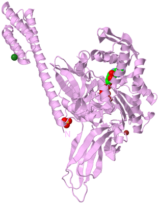 Image Biological Unit 5