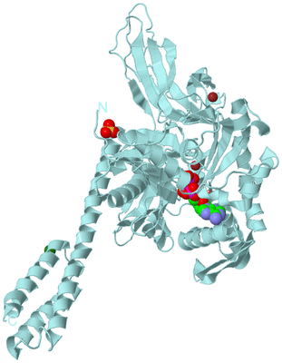 Image Biological Unit 6