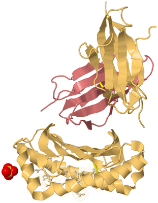 Image Biological Unit 3