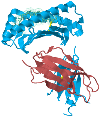 Image Biological Unit 4