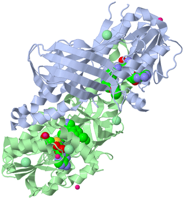 Image Asym./Biol. Unit