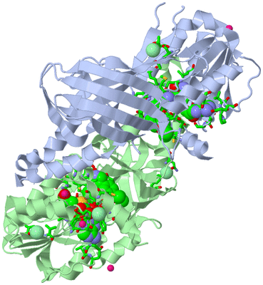 Image Asym./Biol. Unit - sites