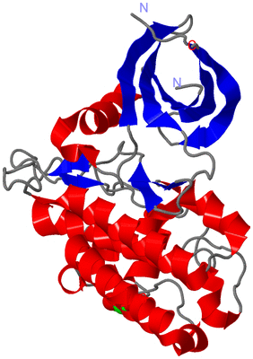 Image Asym./Biol. Unit