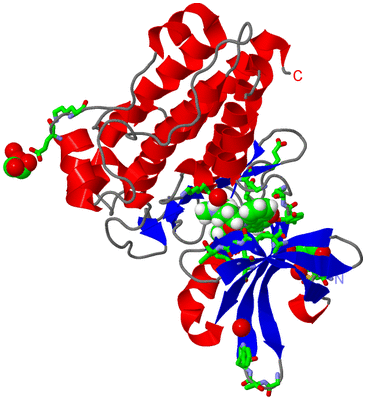 Image Asym./Biol. Unit - sites