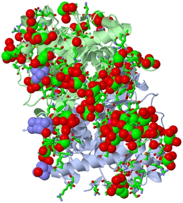 Image Asym./Biol. Unit - sites