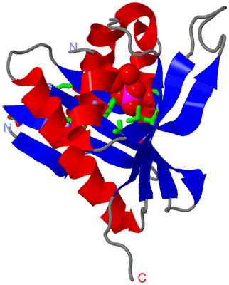 Image Asym. Unit - sites