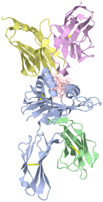 Image Biological Unit 1