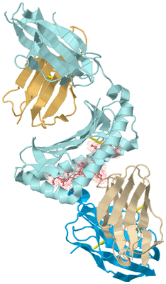 Image Biological Unit 2