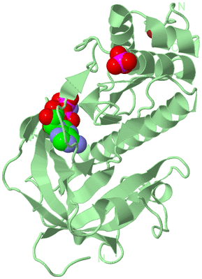 Image Biological Unit 2