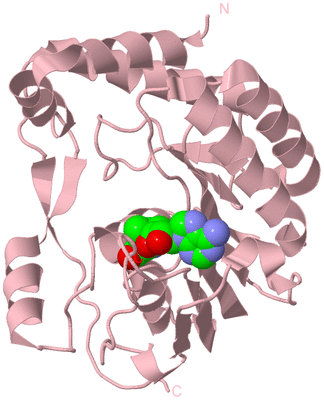 Image Biological Unit 2