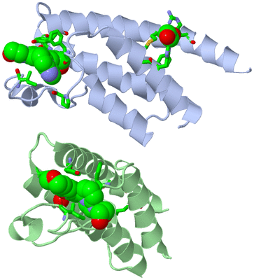 Image Asym./Biol. Unit - sites