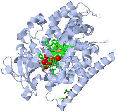 Image Biol. Unit 1 - sites