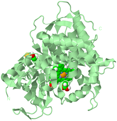 Image Biological Unit 2