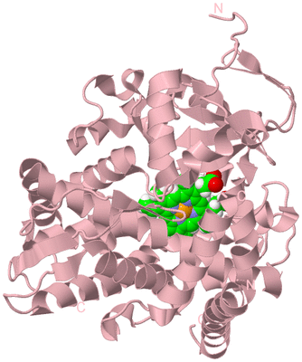 Image Biological Unit 3