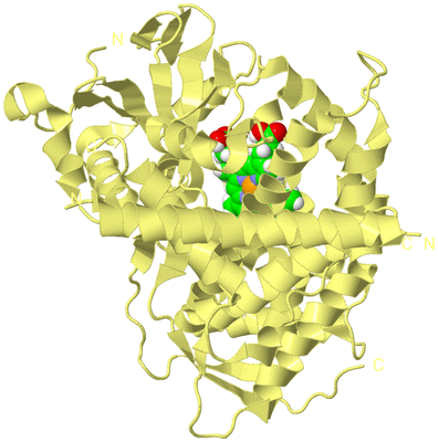 Image Biological Unit 4