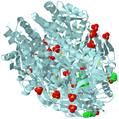 Image Biological Unit 1